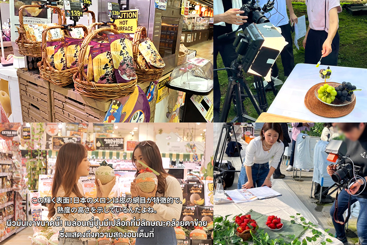 広告マーケティング事業