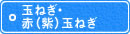 玉ねぎ・赤(紫)玉ねぎ 玉ねぎ・赤(紫)玉ねぎ